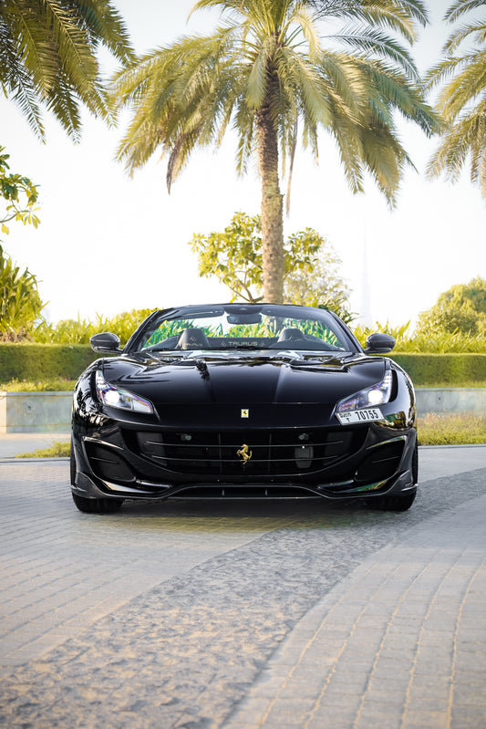 Ferrari Portofino Mansory Taurus